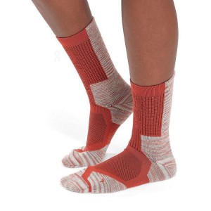 Calcetines On Cloud Explorer Merino Hombre Orange | UY_ON8911