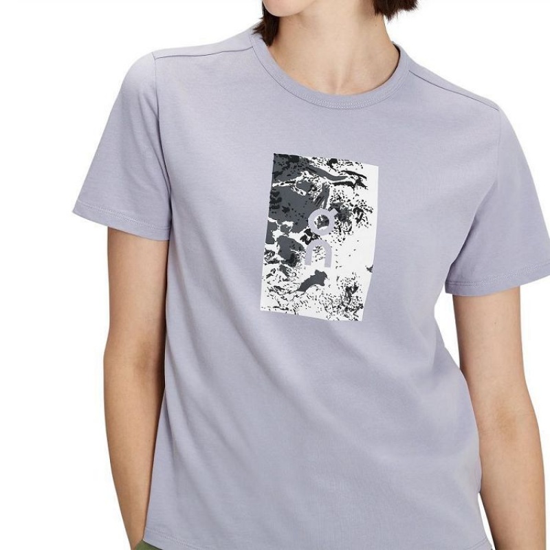 Camiseta On Cloud Estampadas-T Mujer Grey | UY_ON8983